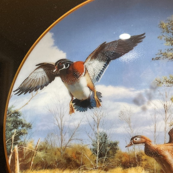 Limited Edition, Framed Collector Plate, by David Masss… Settling In - Picture 3 of 9